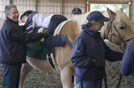 Whitney had to ride lying down and facing backward.